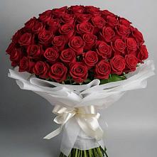 Букет 101 Красная роза Блэк Мэджик в Снегирях