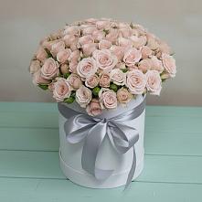 Цветочная композиция из Розы в шляпной коробке #REPLACE_PRED# Снегирях