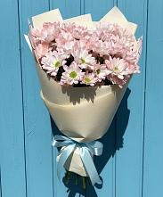 Букет цветов из:  Хризантемы #REPLACE_PRED# Снегирях