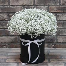 Цветочная композиция из Гипсофила в шляпной коробке #REPLACE_PRED# Снегирях