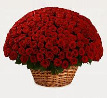 Премиум букет из: Розы #REPLACE_PRED# Снегирях